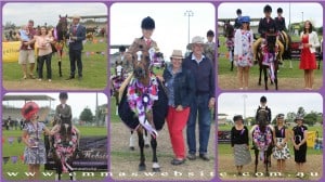 ChampGrandsCollage
