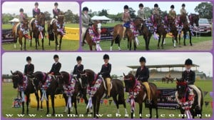 ChampionsCollage
