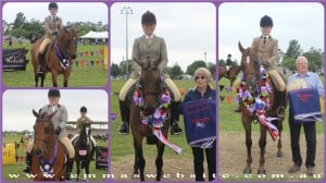 CollageHunterGalloways