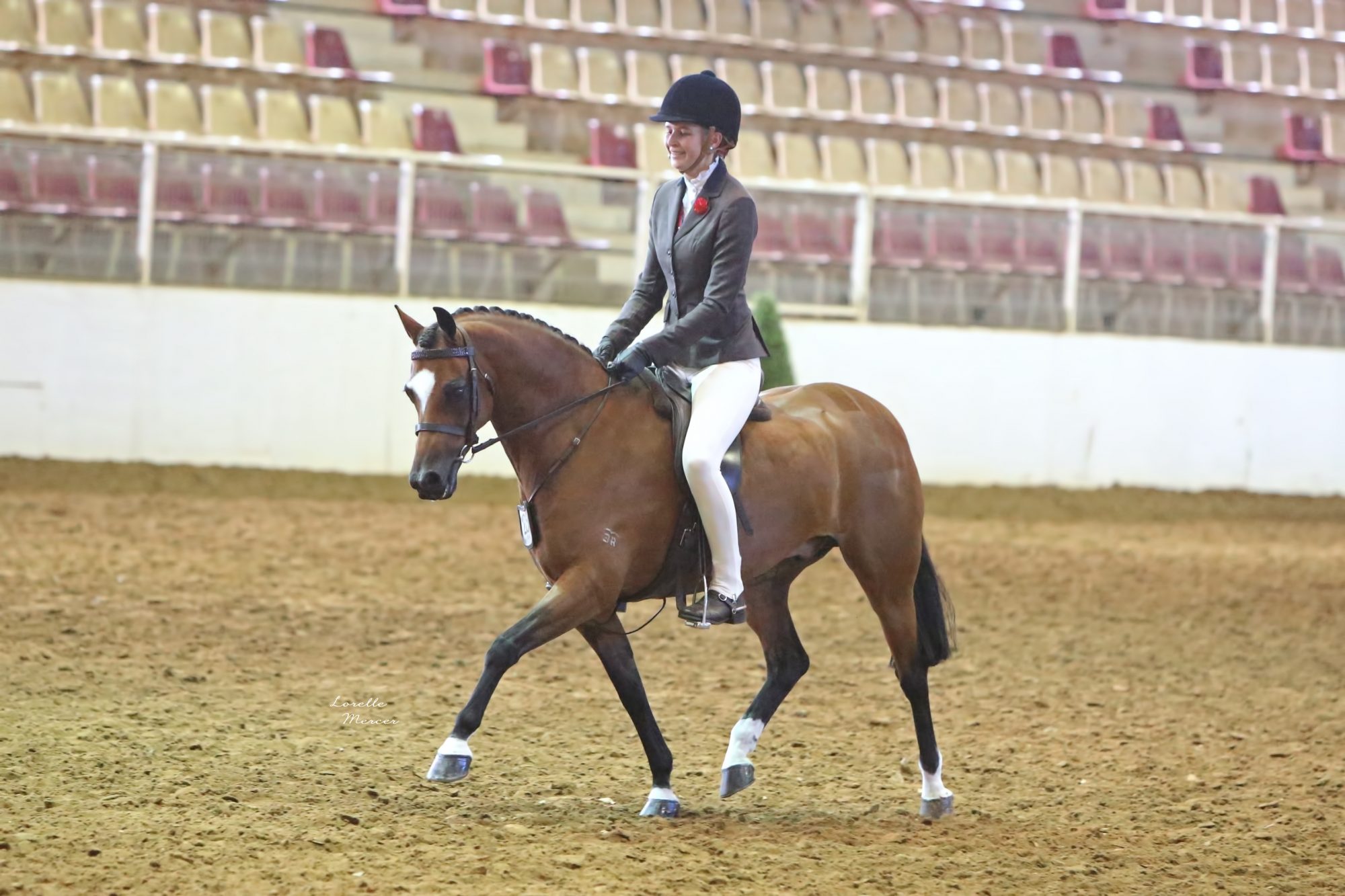 Clemson Dazzle Large Show Hunter Pony Tamworth NSW Show Hunters