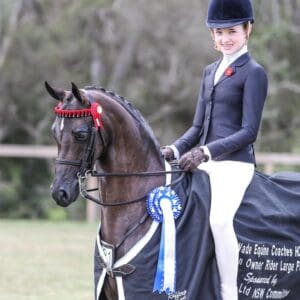 Elizabeth Farm Miss Bassey - Medium Open Pony