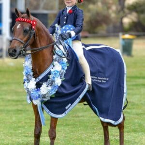 Ascot Jadore - Small Pony