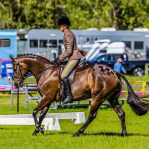 Small Show Hunter Galloway