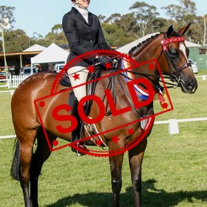 SOLD!! - Beautiful Small Hack