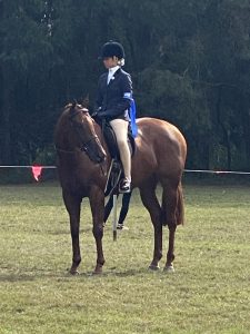 Military Alert- Large Show Hunter Hack