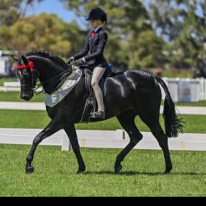 Karma Park Bellagio - Qualified all 2025 Royals