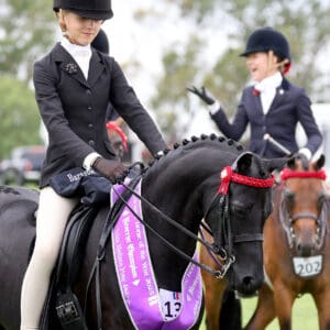 Cantik Park Pandora - Beautiful black show pony