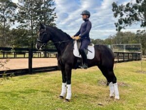 Beautiful Elegant Black Filly/Mare
