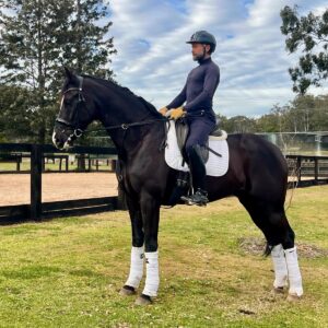 Beautiful Elegant Black Filly/Mare