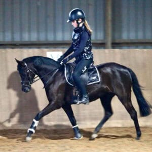 National Quality - Small Open Pony
