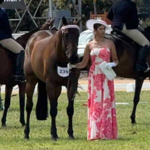 Off The Track Thorougbred- Abradock