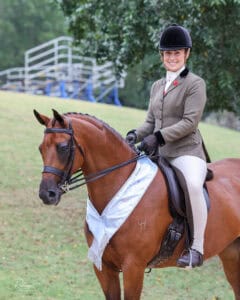 Bamborough Superstitious- National Quality Large Hunter Pony