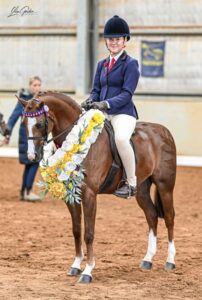 Tibooburra Ginger Snap - Small Pony