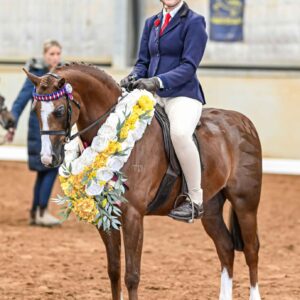 Tibooburra Ginger Snap - Small Pony