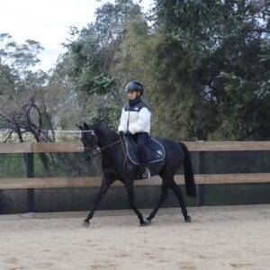 Eye Catching Mare - Small Pony