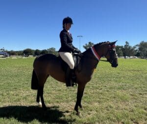 Quality Newcomer Galloway - Windason Park Symphony