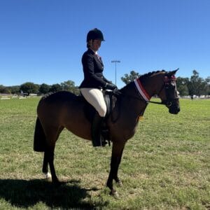 Quality Newcomer Galloway - Windason Park Symphony