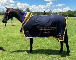 Thumbnail for the listing's main image