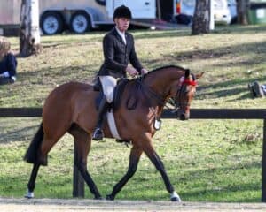 Thumbnail for the listing's main image