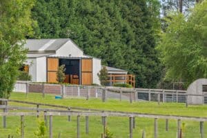 "Hemingway" - A Southern Highlands Equestrian Dream