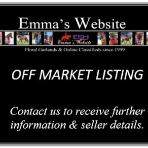 Off Market Listing - Large Show Hunter Galloway