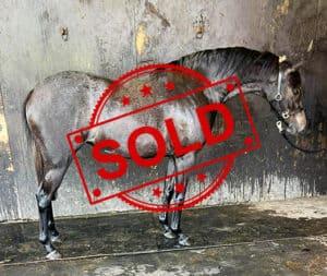 Thumbnail for the listing's main image