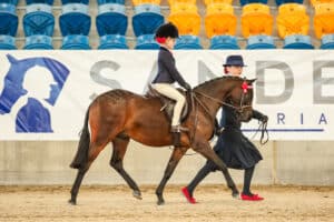 Sirrah Tonkatuff - HOTY Leading Rein Champion