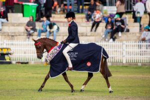 Royal Show Champion Open Small Pony
