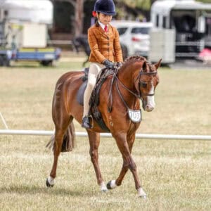 Child’s Small Hunter Pony - Earlsley Park Dazzle