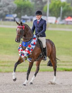 Thumbnail for the listing's main image