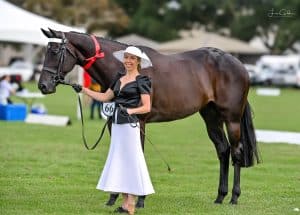 EL MAR - Large Open Hack, OTT.