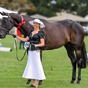 EL MAR - Large Open Hack, OTT.