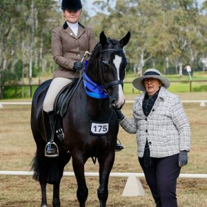 Danson Voices of Love - Hunter Hack