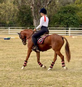 Brandon Park Picasso - Large Pony