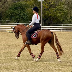 Brandon Park Picasso - Large Pony