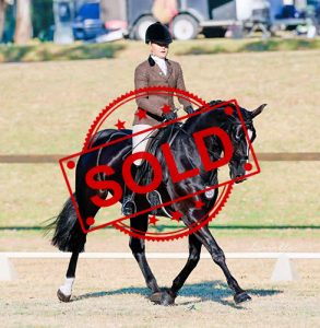 SOLD!! - Small Show Hunter Hack