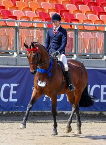 Royalwood Stage Show - View at Grand Nationals.