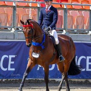 Royalwood Stage Show - View at Grand Nationals.