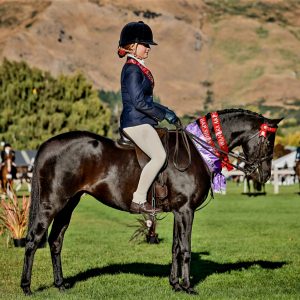 Mother's Dream Pony - Karma Park Applause (NZ)