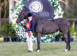McArthurparc Lady Luck - Large Pony