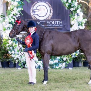 McArthurparc Lady Luck - Large Pony