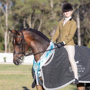 Aloha Zambezi - Qualified Grand Nationals 2027