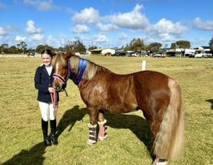 Mothers Dream Pony - Pegasus Park Ceirios