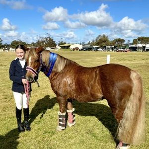 Mothers Dream Pony - Pegasus Park Ceirios