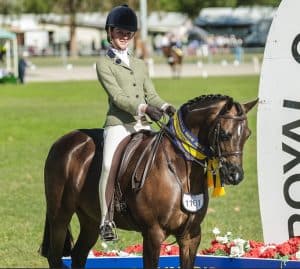 Royal Quality School Master Child's Hunter Pony
