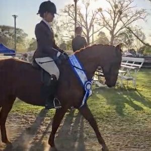 Quality Newcomer Show Hunter Galloway