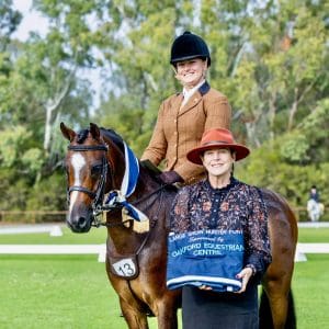 Cimeron Candyman - Large Show Hunter Pony