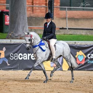 Arabella Dymondz - Royal Show Winner