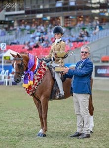 Exceptional Large Hunter Pony - Mundoora Park Da Vito